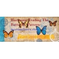 Harmonic Trading The Butterfly Pattern (Enjoy Free BONUS John Bartlett - Scalping the Forex)